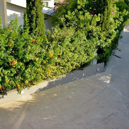 Villa Panoramic View *